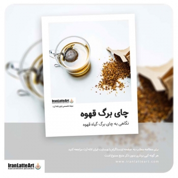 چای برگ گیاه قهوه