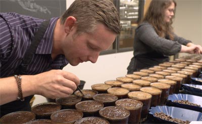 کافی کاپینگ ( Coffee Cupping ) به زبانی ساده