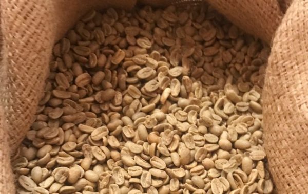 میزان مورد نیاز دانه‌ی سبز قهوه برای رستری