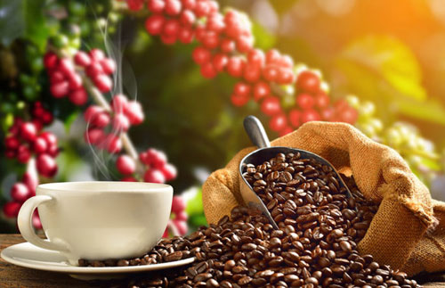 قهوه دومین کالای تجاری جهان نیست