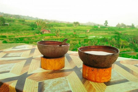 چای برگ گیاه قهوه