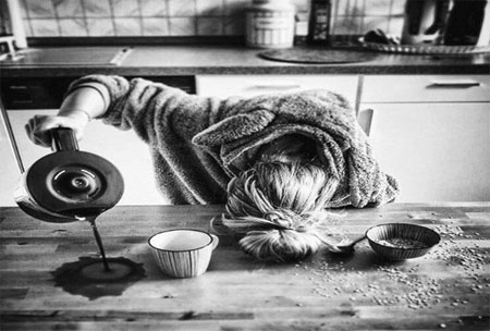 چند نکته مهم در مورد قهوه