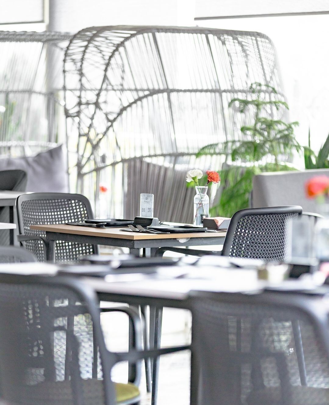 پیتزا کمپانی