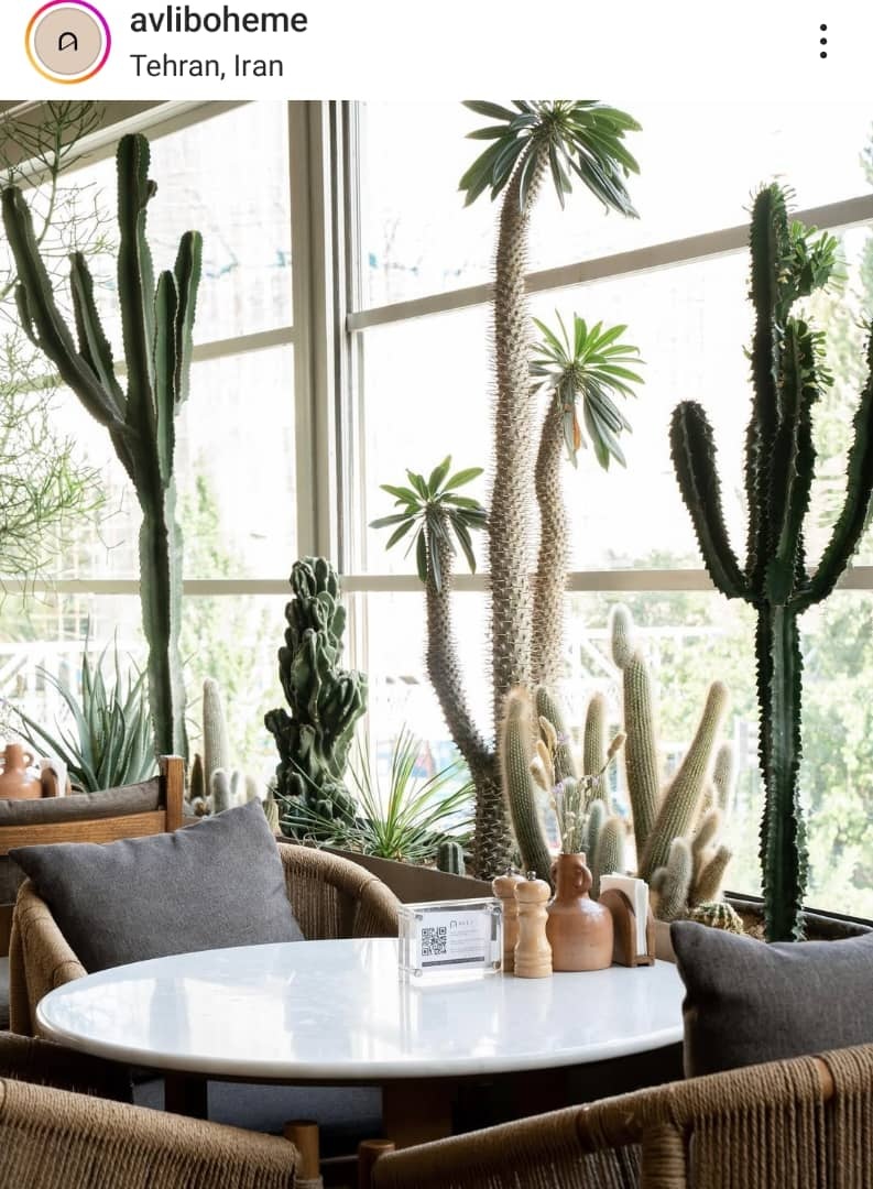 کافه رستوران آولی